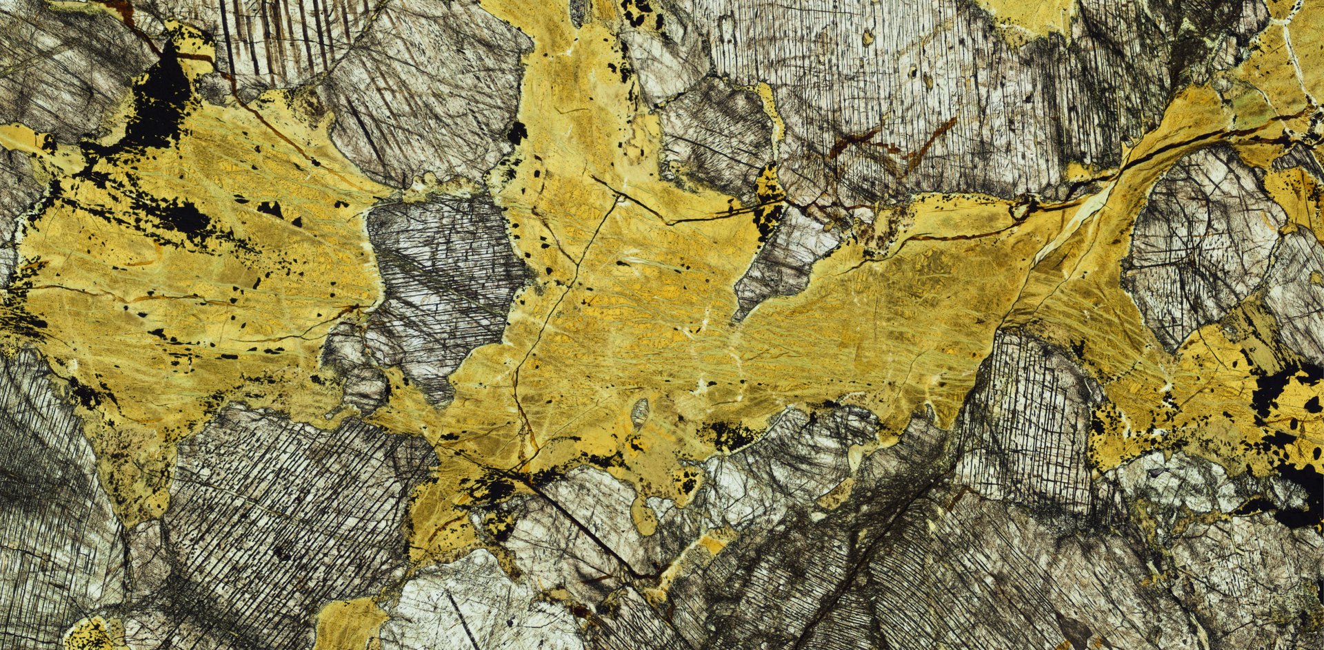 Plane polarized light microscopy
